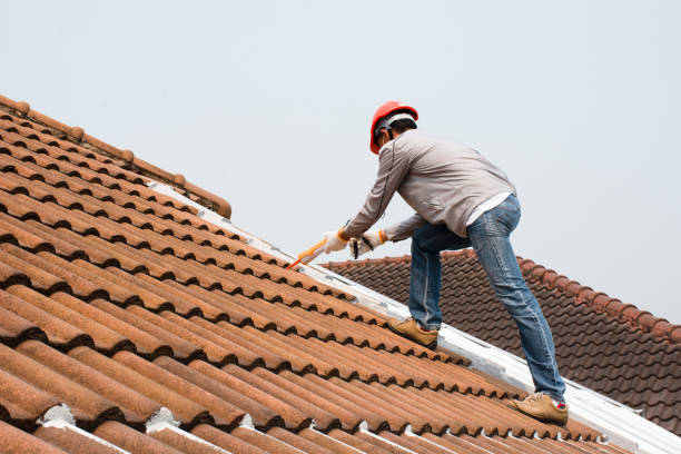 Best Metal Roofing Installation  in Steelville, MO