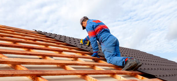 Best Asphalt Shingle Roofing  in Steelville, MO
